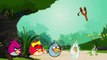 Angry Birds Finger Family Rhymes for Children | Angry Birds Daddy Finger Nursery Rhymes Songs