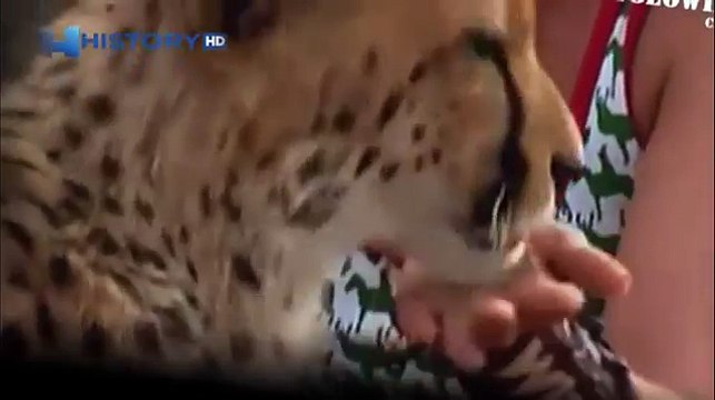 Cheetah attacked reporter and mutilated her