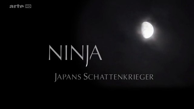 Les guerriers ninja