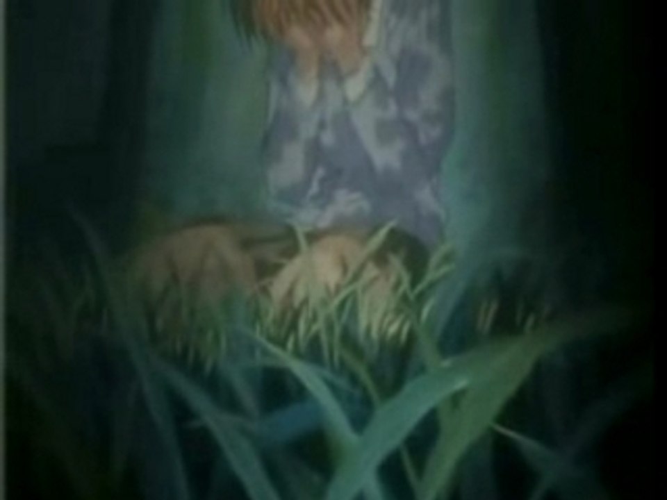 Amv - Fruits Basket, Ayashi No Ceres & C