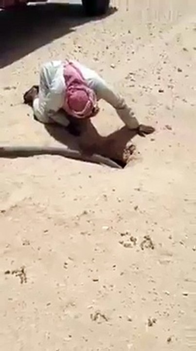 Pani se sande ka shakar