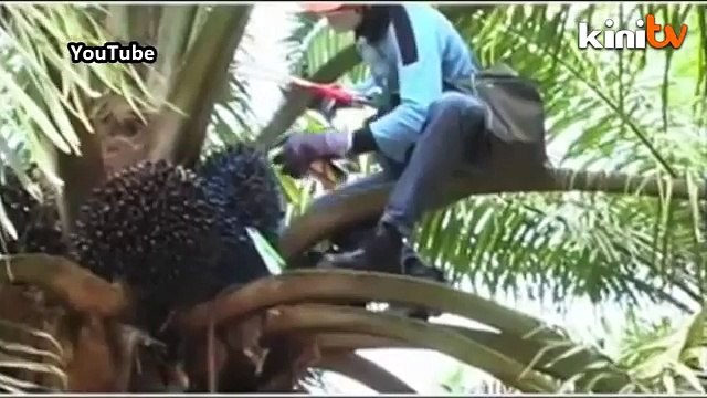 Buy more FGV shares, minister says