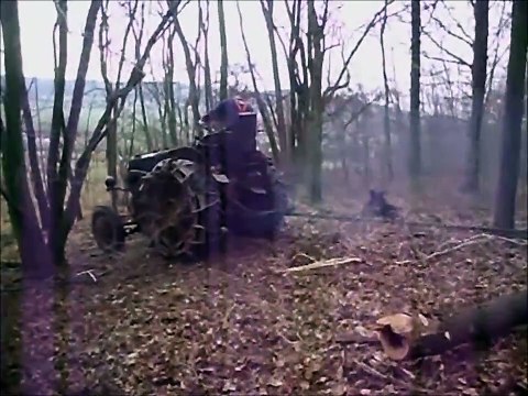 Holz machen mit dem Lanz Bulldog 2014