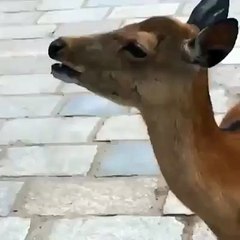 When you remember it's Monday tomorrow