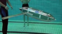 Larus Underwater glider