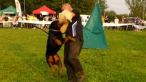 Attacco, Rottweiler ITALIAN KLUBSIEGER 2012 - Campionato di Bellezza - Cascina Dal Pozzo