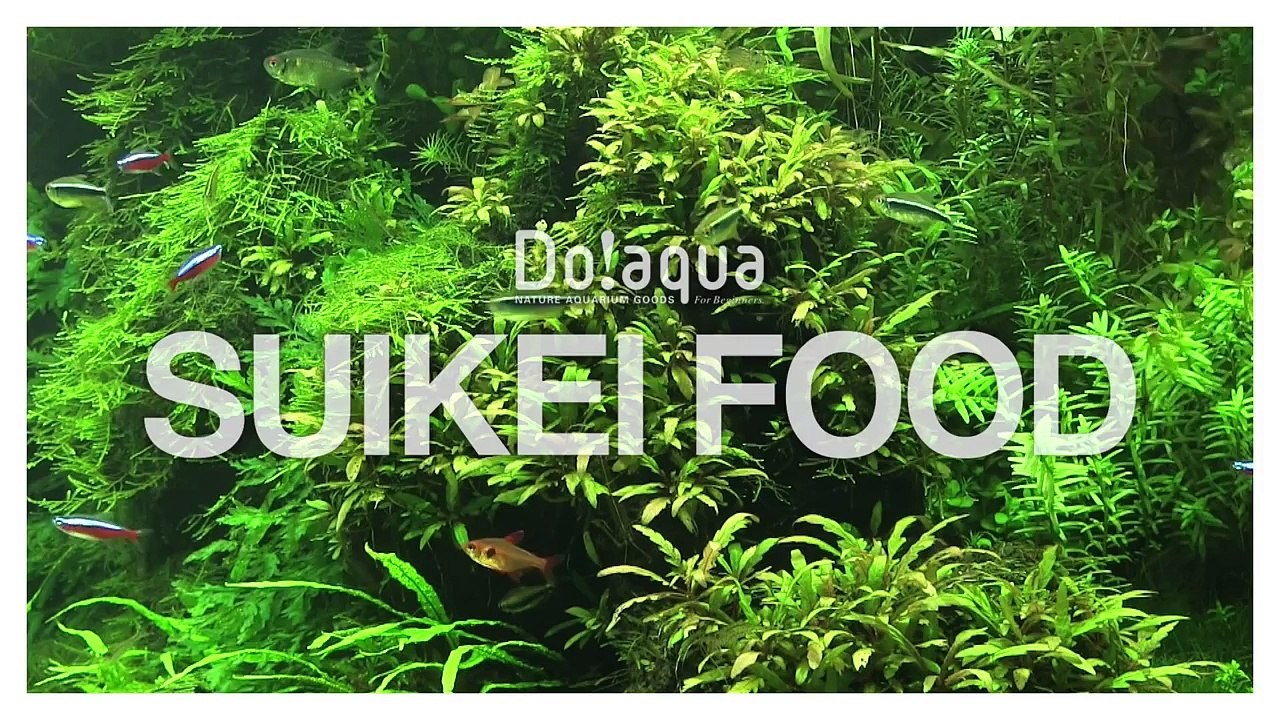 [ADAview] The Best Holiday Vol.3 Aqua Forest