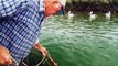 Crabbing QLD - Fishing - BCF