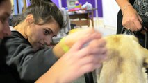 Curso Técnico y Experto en terapia asistida con animales 2013 - Bocalan Argentina