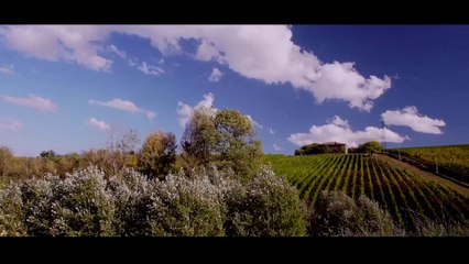 Domenico e Laura - Ciack Mi Sposo