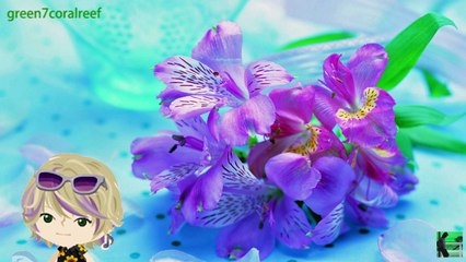 大切なもの  それは君だよ♪　You're my only shinin' star...