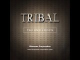 Tribal Techno Loops