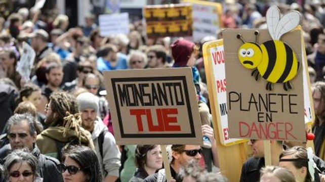 Counting the Cost - Bees in jeopardy: The real cost of pesticides