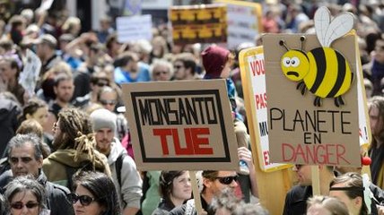 Counting the Cost - Bees in jeopardy: The real cost of pesticides