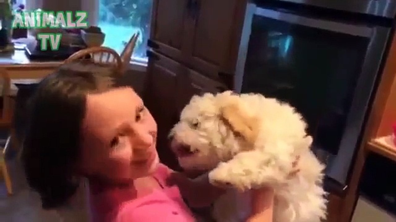 Funny And Cute Pets Long Compilation June 2015 Full HD 1080p VIDEO