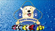 Dogs Surfing - Competition Dog Surfers aka: SurFurs- Paws Aboard Life Jackets