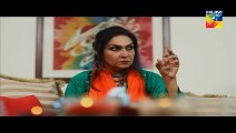 Mr Shamim Episode 25 Full Hum Tv