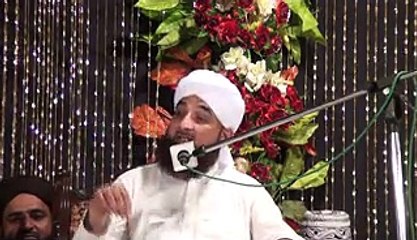 علامہ پیرزادہ محمد رضا ثاقب مصطفائ- حصہ چھارم
