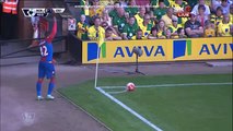 Damien Delaney 0_2 _ Norwich City - Crystal Palace 08.08.2015 HD