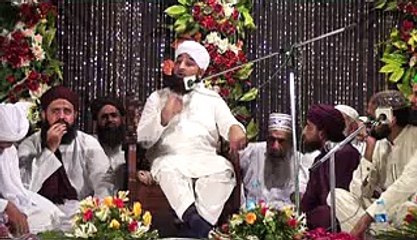 علامہ محمد رضا ثاقب مصطفائ-حصہ تیسرا