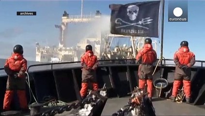 Activistas condenados por denunciar la pesca de ballenas en Dinamarca