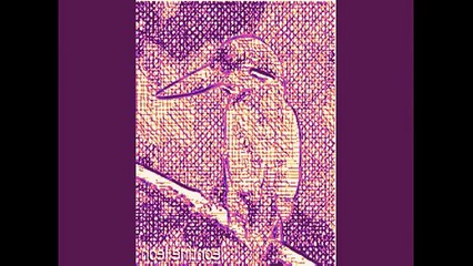 DIGITAL ART - LEONTINE LEON - BIRD I- version 1- dessins à lencre