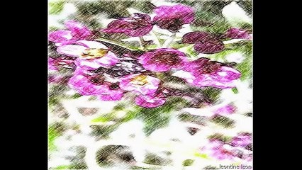 Ma video éditée -Sample DIGITAL ART-LEONTINE LEON- FLOWER 1- crayon de couleur