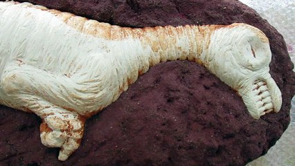 A White Calcified and suddenly Carbonized Baby Dinosaur Fossil 《I have teeth》 白色鈣化的瞬間碳化小恐龍化石《我有牙齒》