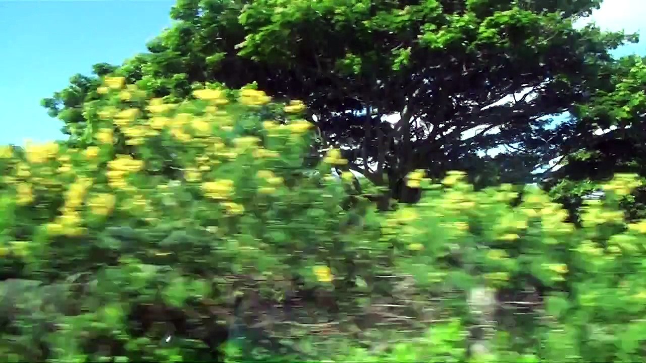 Beautiful Scenery on The Road to Hana-Maui (With Facts/Figures + Music)
