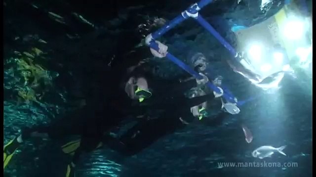 Night Snorkeling with Giant Manta Rays in Kailua-Kona, Hawaii - May 1, 2013