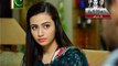 Paiwand Episode 15 Full on Ary Digital - 8 August