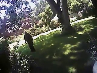 Topeka police body camera video of fatal dog shooting