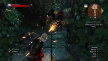 The Witcher 3: Wild Hunt. A few funny glitches