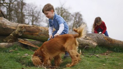 Alergias como derrota-la (Documentário-2014)