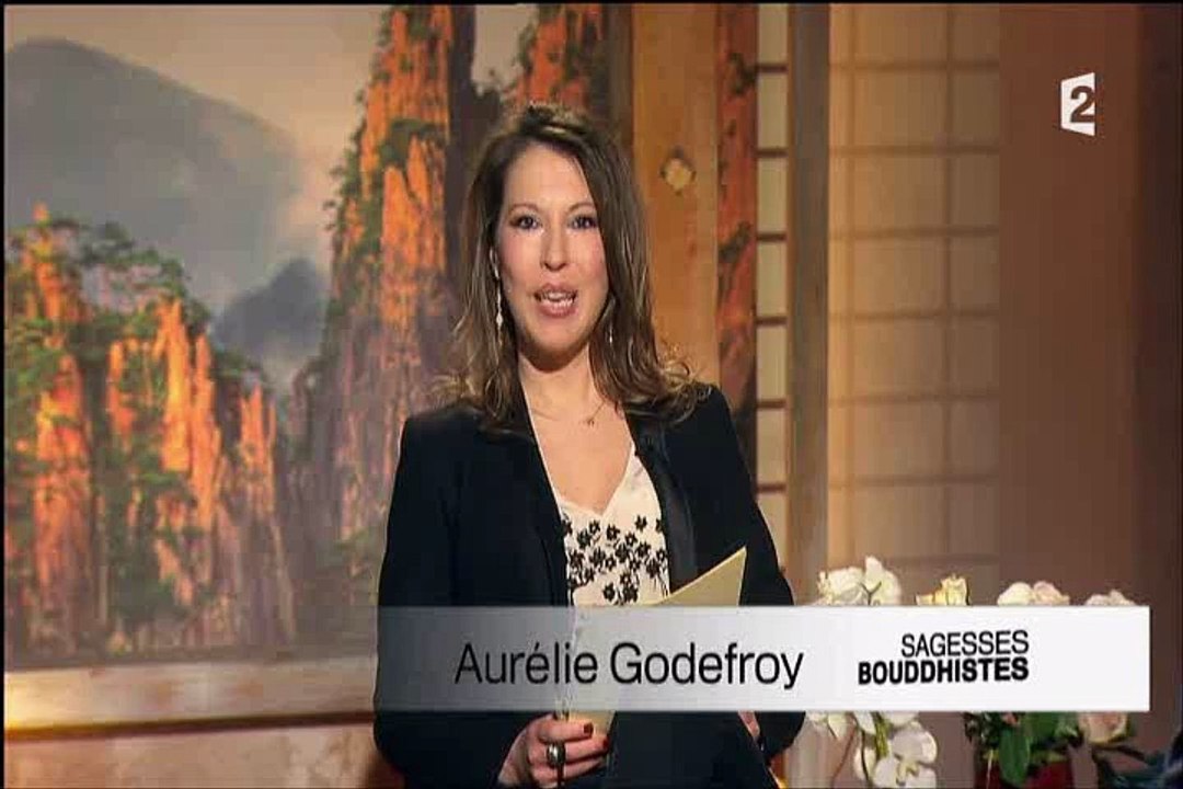 Bouddhisme et émotions 1