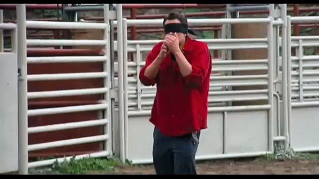 jackass johnny knoxville bull stupid