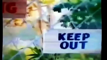 Том и джери новые серии TOM and JERRY Смотреть мультик