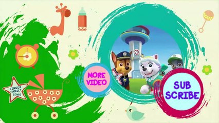 The octonauts Finger Family | Nursery Rhymes | EKids | Finger Family