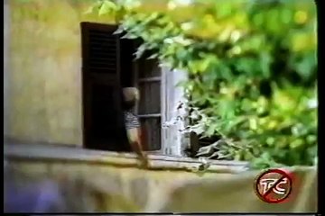 NEVNED parodia Eros Ramazzoti y Tina Turner