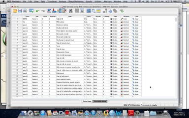 chi square goodness of fit test SPSS 21.mp4