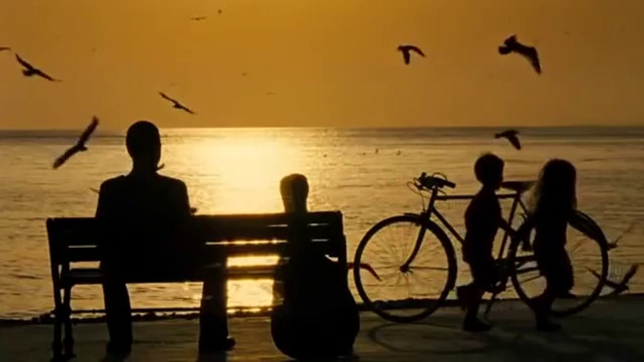 Şebnem Ferah - Hoşçakal  Aşk Tesadüfleri Sever