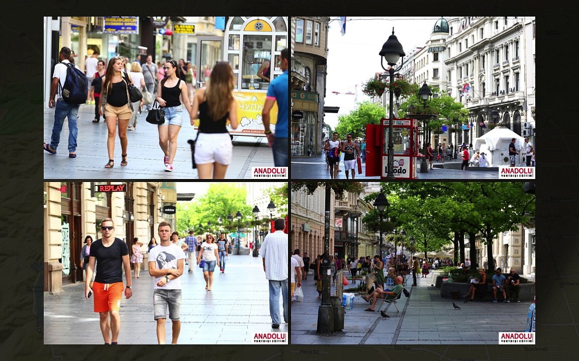 Belgrad Üniversitesi