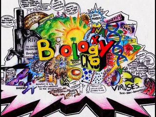 12 biology investigatory  project work