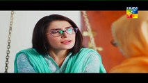 Dil Tum Per Aa Gaya Eid Special HUM TV telefilm