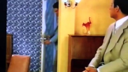 Antonio e Luíza - Cidadão - Vídeo 241