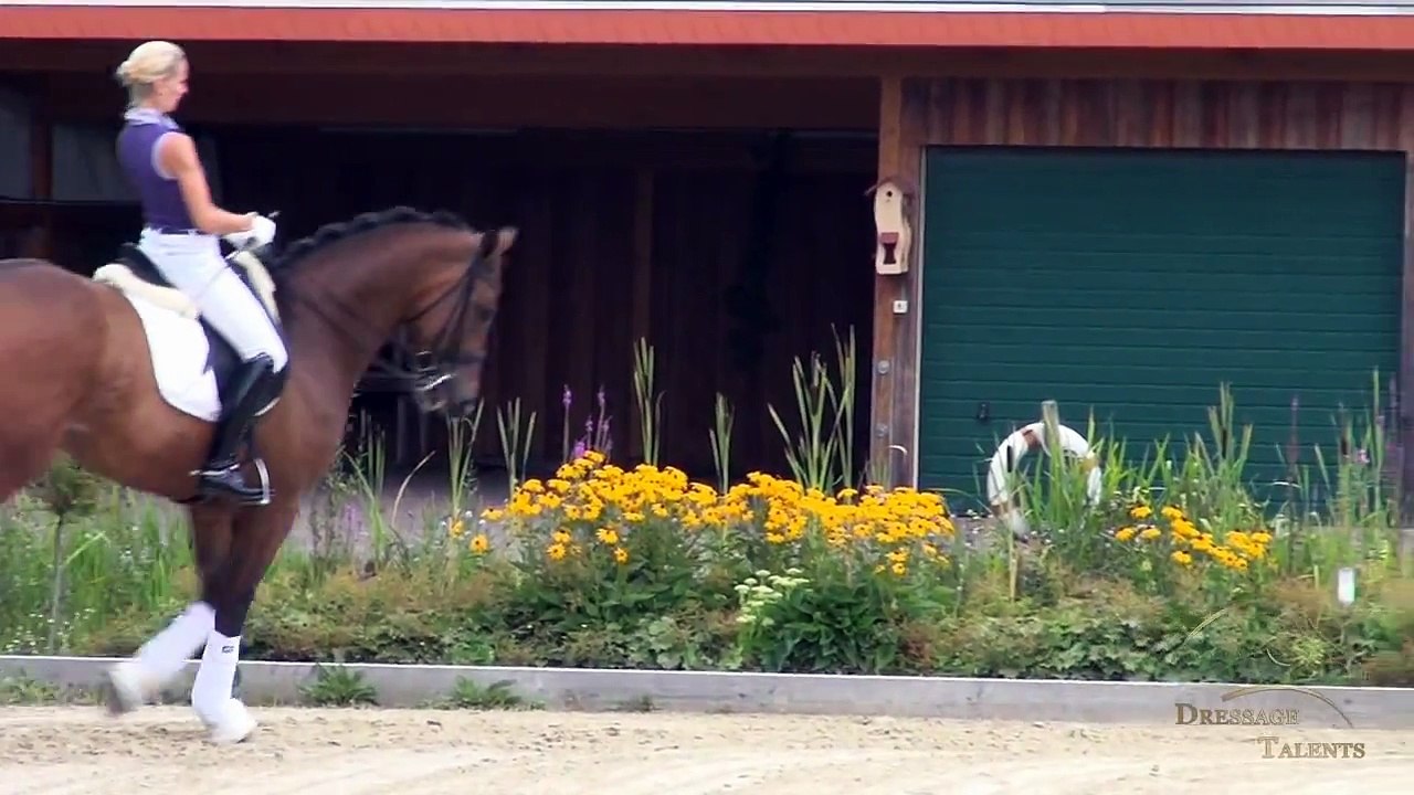 www.dressage-talents.com / Fielding