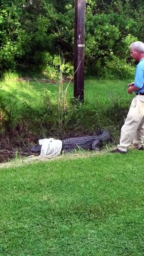 ***OFFICAL VIDEO*** Stacy NC Alligator Attack Caught On Camera! ***OFFICAL VIDEO***