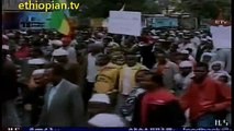 Ethiopian News in Amharic : Friday, July 20,  2012