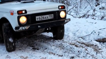 Nissan Terrano 1 ft NIVA  Дубна поездка к Шару