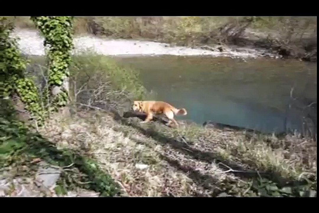 The Adventure Jhon